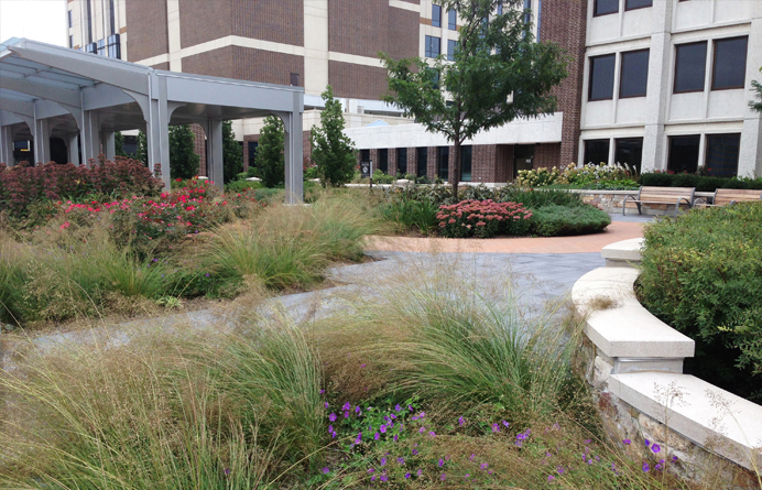 JRA_Palos Community Hospital_Grasses in Garden